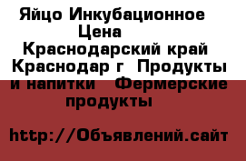 Яйцо Инкубационное › Цена ­ 8 - Краснодарский край, Краснодар г. Продукты и напитки » Фермерские продукты   